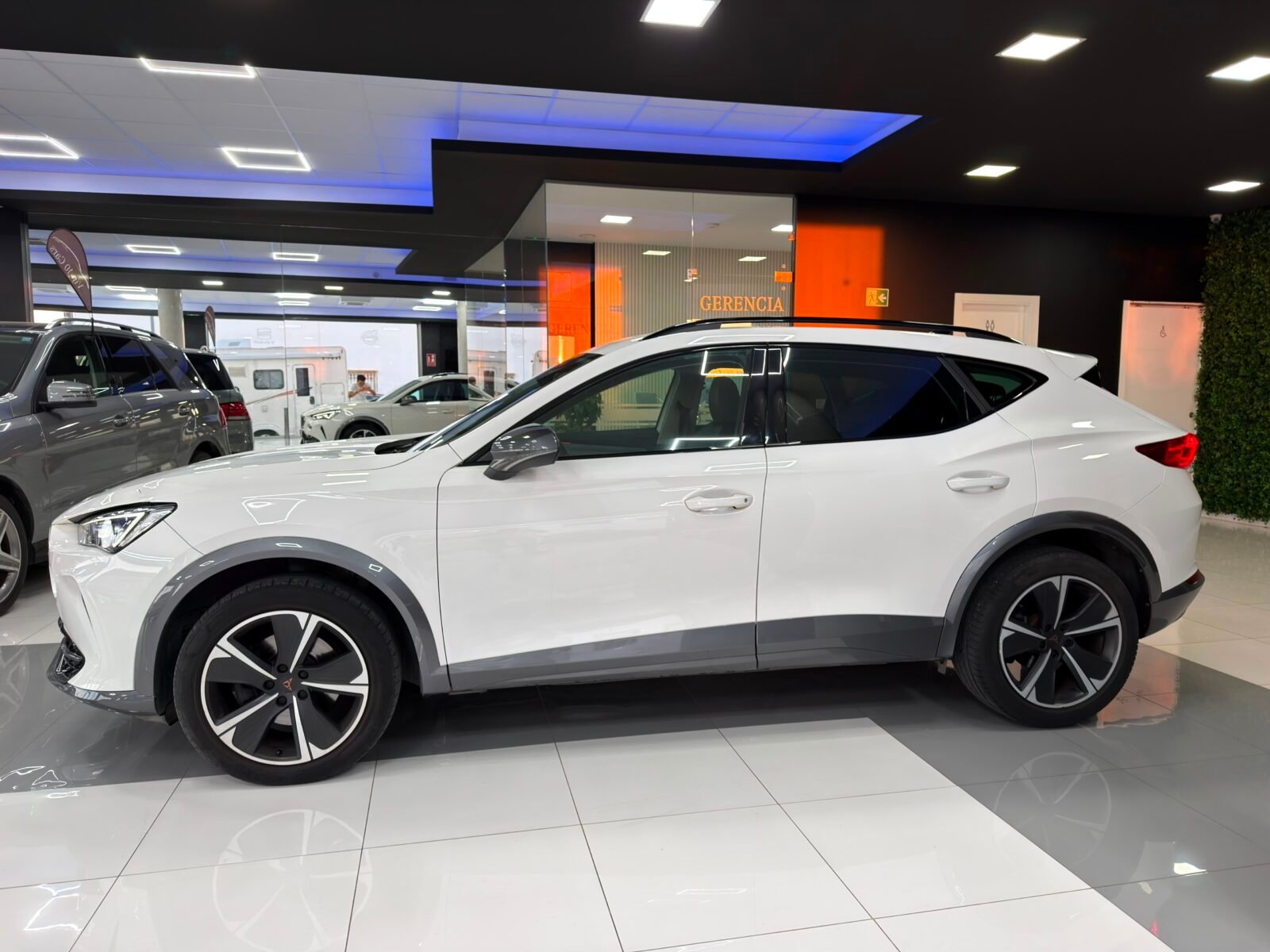 CUPRA FORMENTOR  1.5 TSI 150 CV